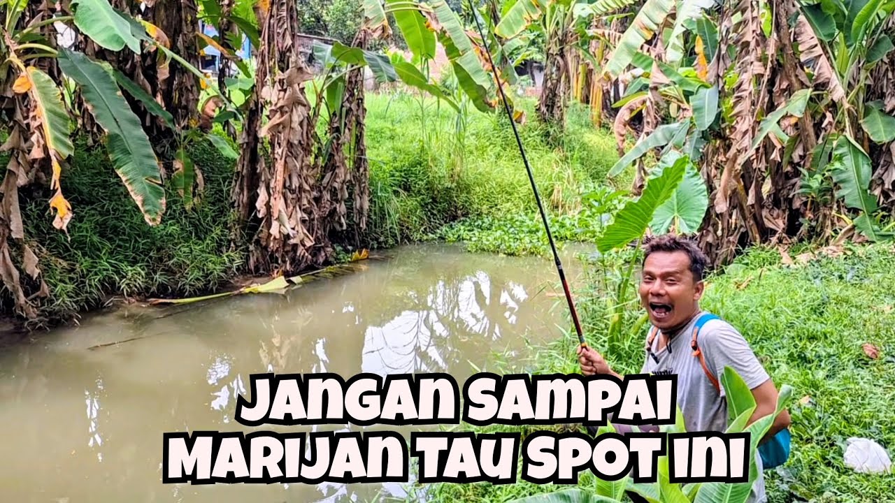 PLUNG NYUT TANPA AMPUN DI SPOT GACOR PINGGIR JALAN