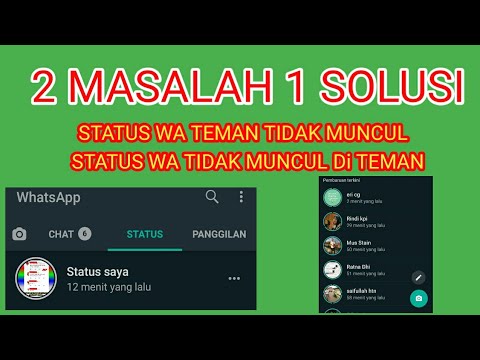 cara-mengatasi-status-wa-tidak-bisa-dilihat-orang-lain