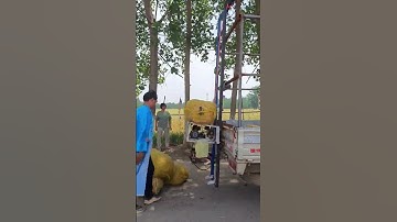 Car battery driven machine double chain induction straw bale loading machine