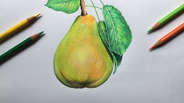 Drawing a Pear in color pencils | Realistic fruit drawing | Faber Castell Polychromos