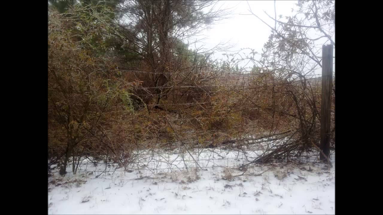 Ice Storm 2014 Atlanta Ga