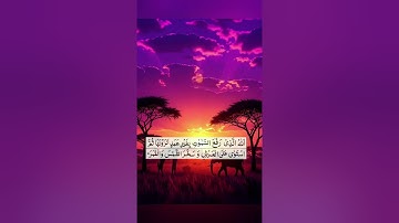 ✨ "تلاوة خاشعة مؤثرة من سورة الرعد | تلاوة تهز القلوب ✨"