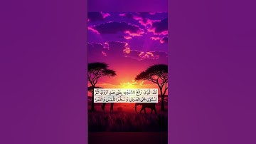 ✨ "تلاوة خاشعة مؤثرة من سورة الرعد | تلاوة تهز القلوب ✨"