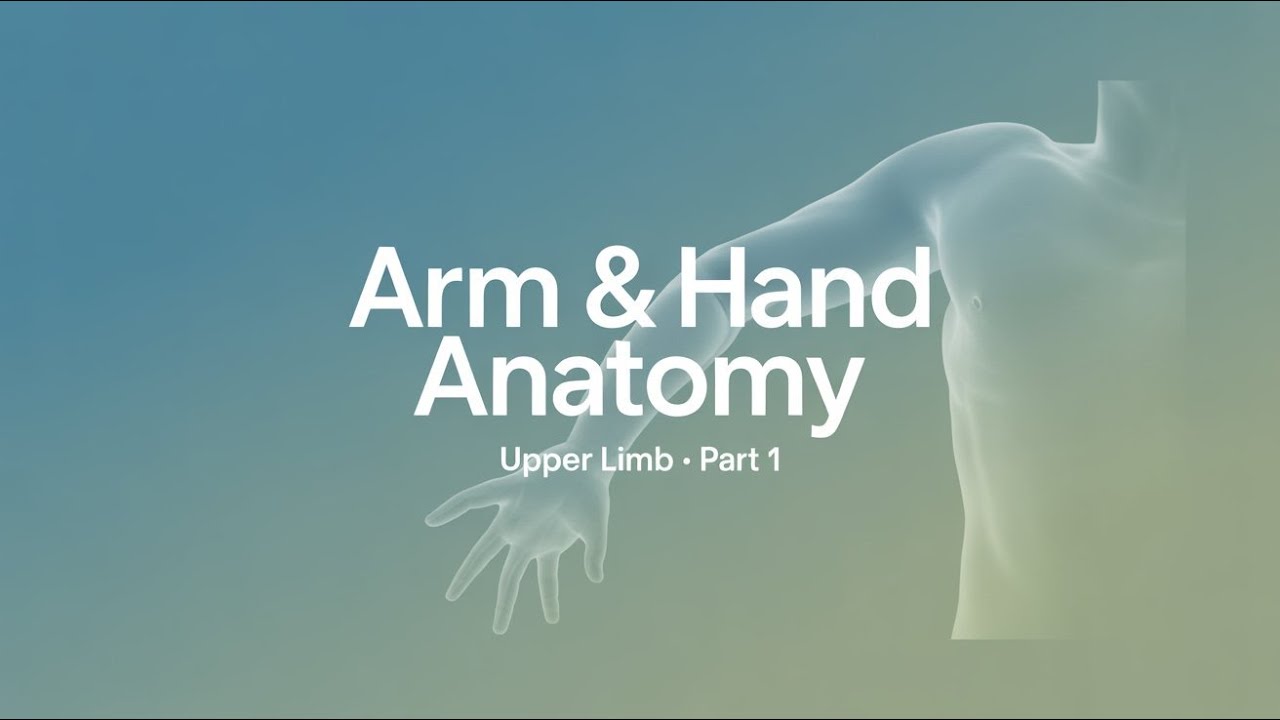 Anatomy of the Arm & Hand — Part 1 | Introduction to Upper Limb Anatomy