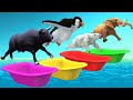 Jump into the bathtub! in water Gorilla, Zombie T-Rex, Eagle, Giraffe, B...