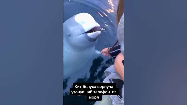 Какой он молодец!!!  #shorts #video