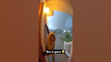 Crazy monkey gets blown away by a tornado 😭 #soraai #ai #funny