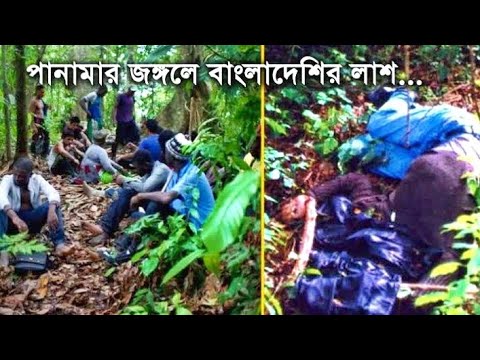 ভিডিও: একটি পাহাড়ের চূড়ায় যাওয়ার দ্রুততম উপায় কী?