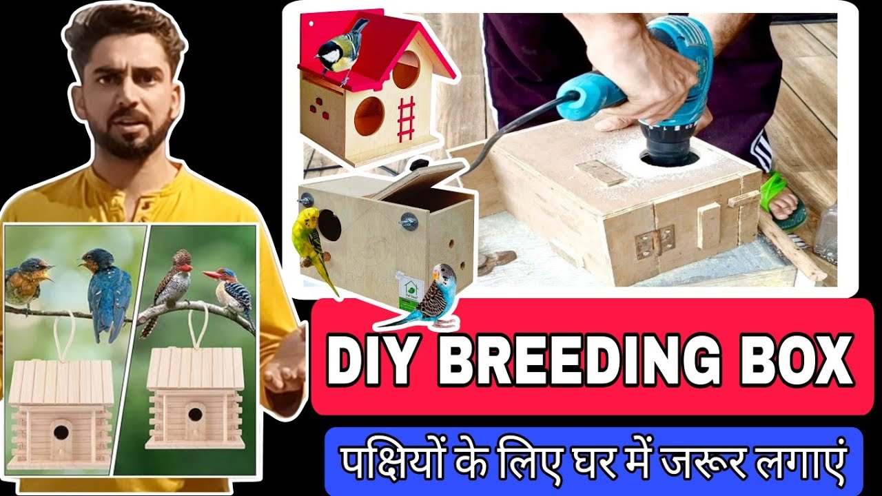 How to Make a Bird Nest Box: Easy Steps for Happy Birds