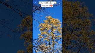 КОНСУЛЬТАЦИЯ И ПОДБОР НЕДВИЖИМОСТИ #переездвкраснодарскийкрай #переезд #дом #недвижимостьнаюге