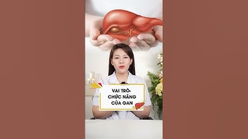 Vai trò - Chức năng của Gan | Giải độc gan Tuệ Linh Plus #suckhoe #giaidocgan #shorts