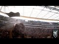 Deichkind  live  wcd 2017 world club dome  gopro mixed