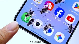 Why is there Fly Crawling on my Phone ?