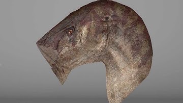 Trailer Tuto Creature Texturing in MARI