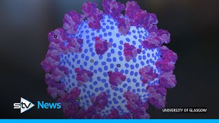 First confirmed coronavirus deaths in Scotland for six weeks