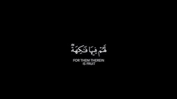 قران شاشه سوداء | كروما شاشه سوداء قرآن كريم | كرومات قرآن شاشة سوداء | القارئ أحمد حمادي