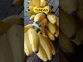 Tundan kaprobinsya shortsviral happyfarming saging banana