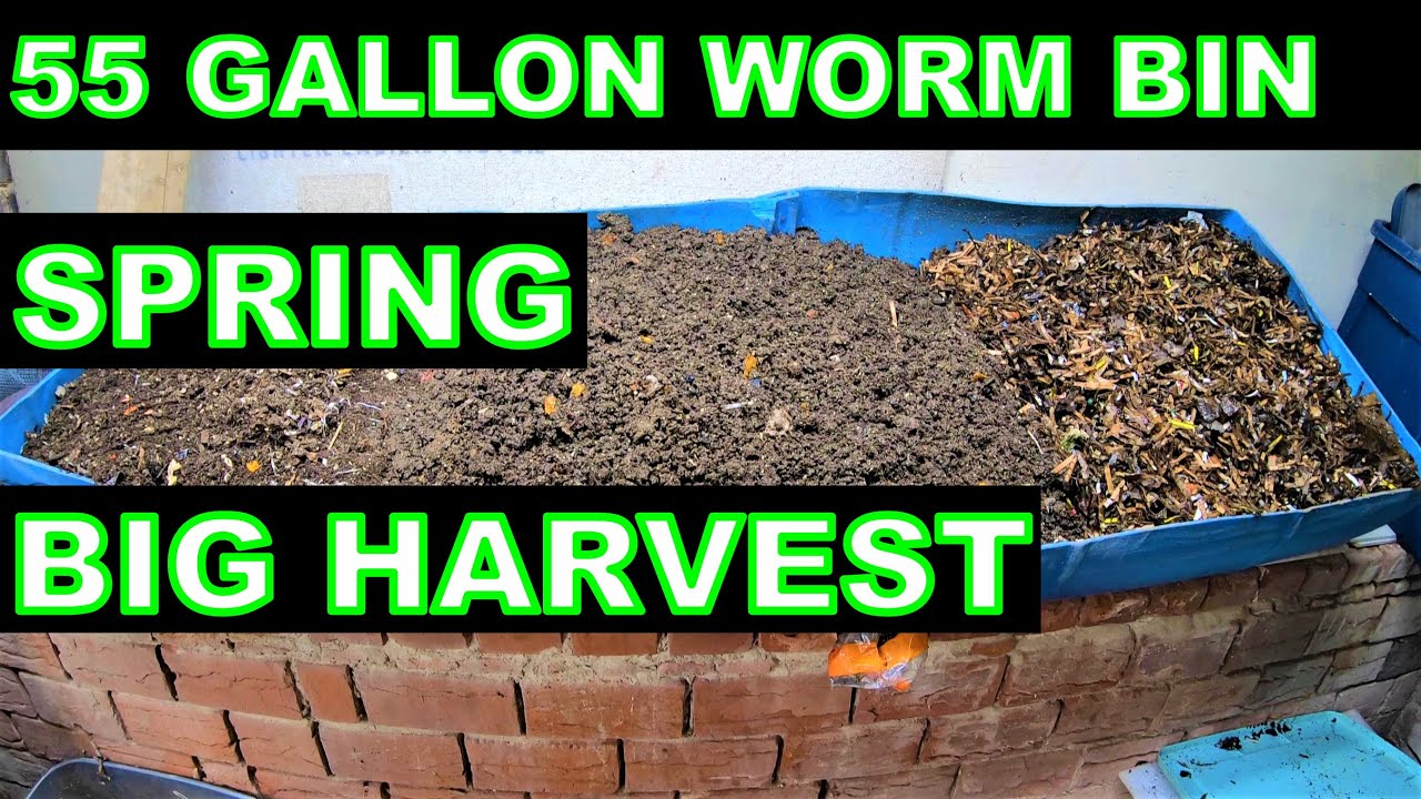 55 Gallon Worm Bin Harvest, Feed and Seed Starting Mix