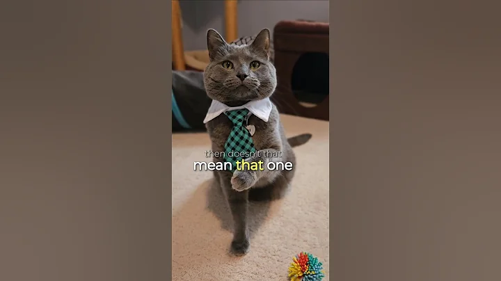 Watch the video about Feeling all the good vibes from Loki as we cruise through the week!#funny #cat #shortstrending