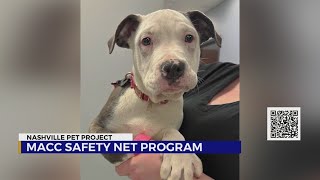 Nashville Pet Project: MACC Safety Net Program