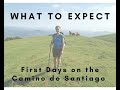 What to Expect: First Days on the Camino de Santiago