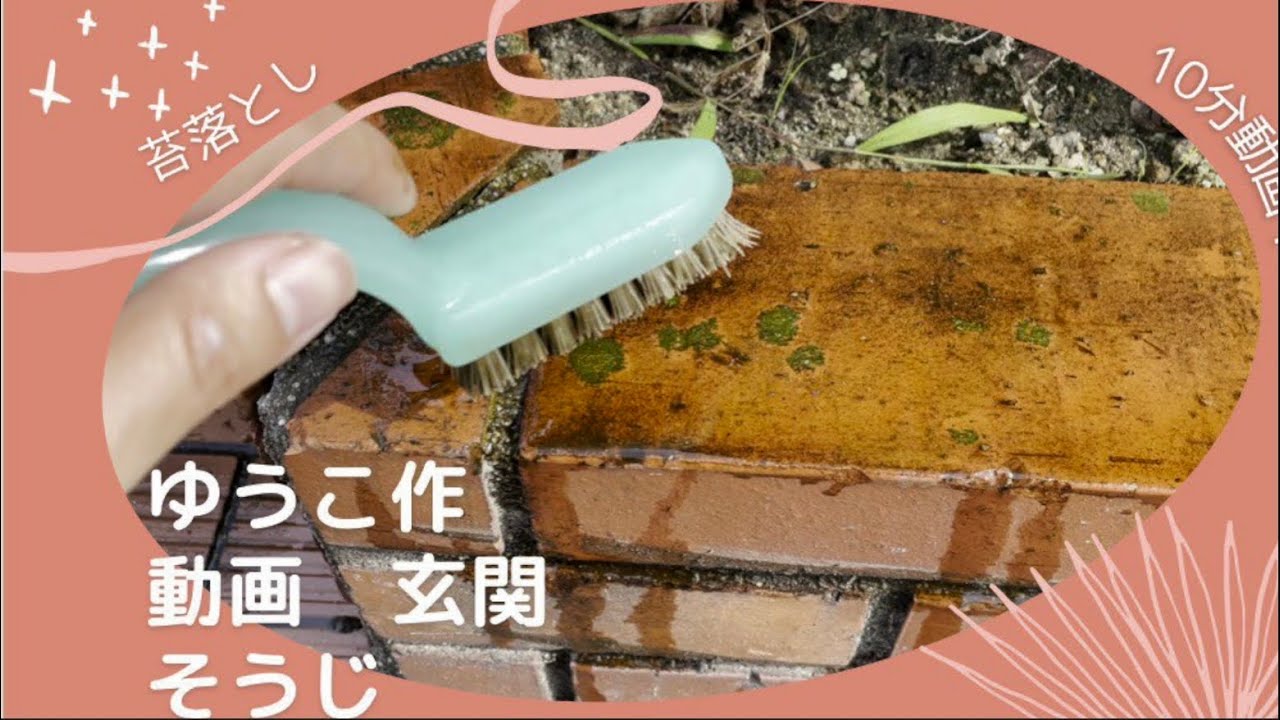 エピソード01 苔落とし!苔を生えにくくなる薬剤 【オスバンS】使用してみた 掃除 10分動画 YouTube