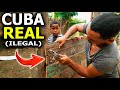 CUBA REAL:  ASÍ ES LA REALIDAD QUE NADIE MUESTRA DE LOS ILEGALES que VIVEN en BARRIOS de La Habana ‼