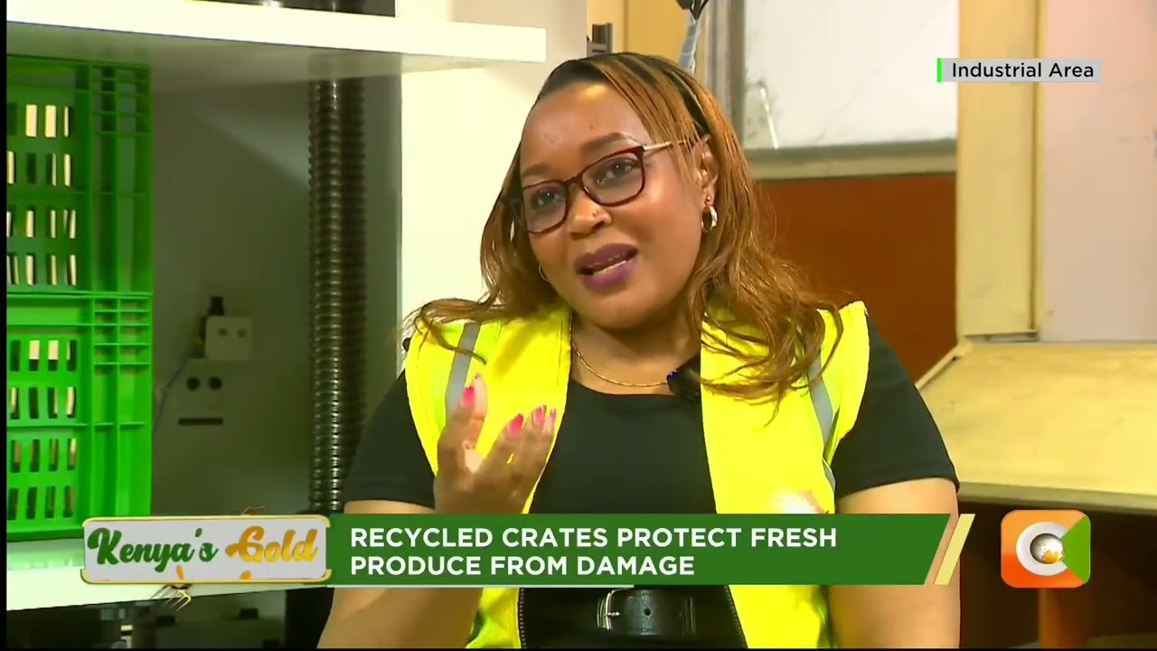 Gold Chat | Turning plastic waste into farm crates | Kenya's Gold