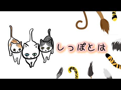 【猫】しっぽとは【雑学・豆知識】What is a tail?