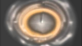 Urban Techno Cafe - orbit