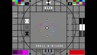 NTSC-RS LaserDisc Effect Test 1 (SW2 Test Pattern)