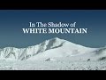 In the shadow of white mountain