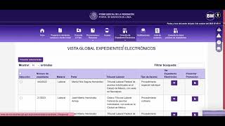 ¿Cómo presentar promociones en el portal del Poder Judicial de la Federacion?