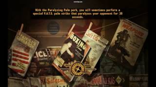 Fix this new vegas crashing