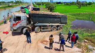 O.M.G Perfectly Huge Landfill Using Dump Truck 25.5Ton &amp; Bulldozer Push Soil into Rice Field,Mix VDO