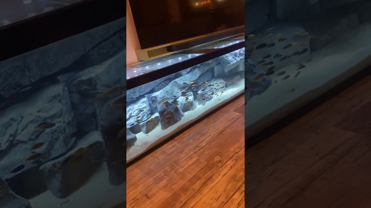 Aquadecor Massive 3D Rock Aquarium Look