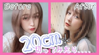【ロングボブ】10年ぶりに髪を切ってみたら、、、