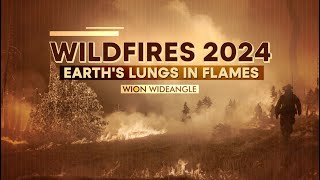 Wildfires 2024: Canada, Uttarakhand | WION Wideangle