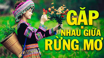GẶP NHAU GIỮA RỪNG MƠ REMIX Mới Ra Lò 2025 - Nhạc Đỏ Cách Mạng Tây Bắc Dj Remix Vang Tận 5 Châu