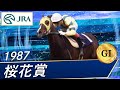 1987年 桜花賞（GⅠ） | マックスビューティ | JRA公式 - YouTube