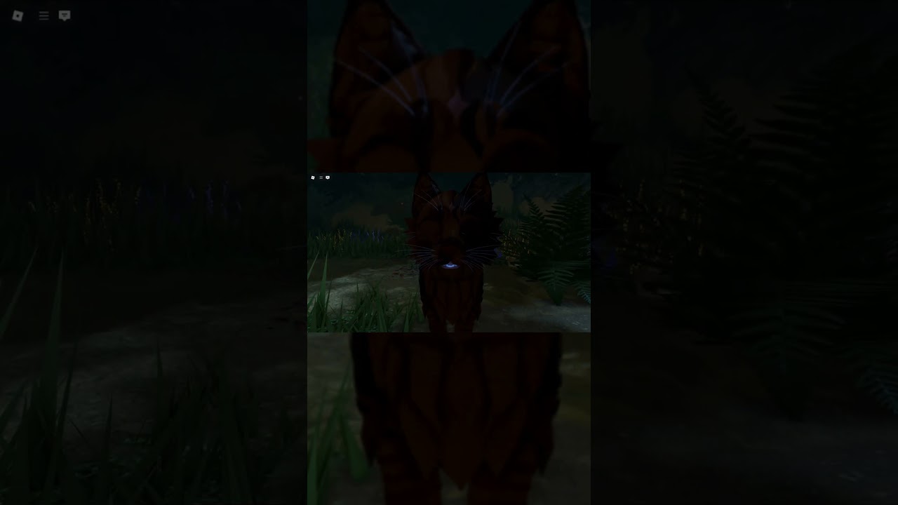 She won't fall for it anymore Vevina. WOAH NEW EPIC QUALITY!?!?!?!  