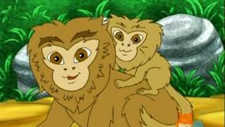 Go, Diego, Go S01E12 A Oo On The Pygmy Marmoset P2