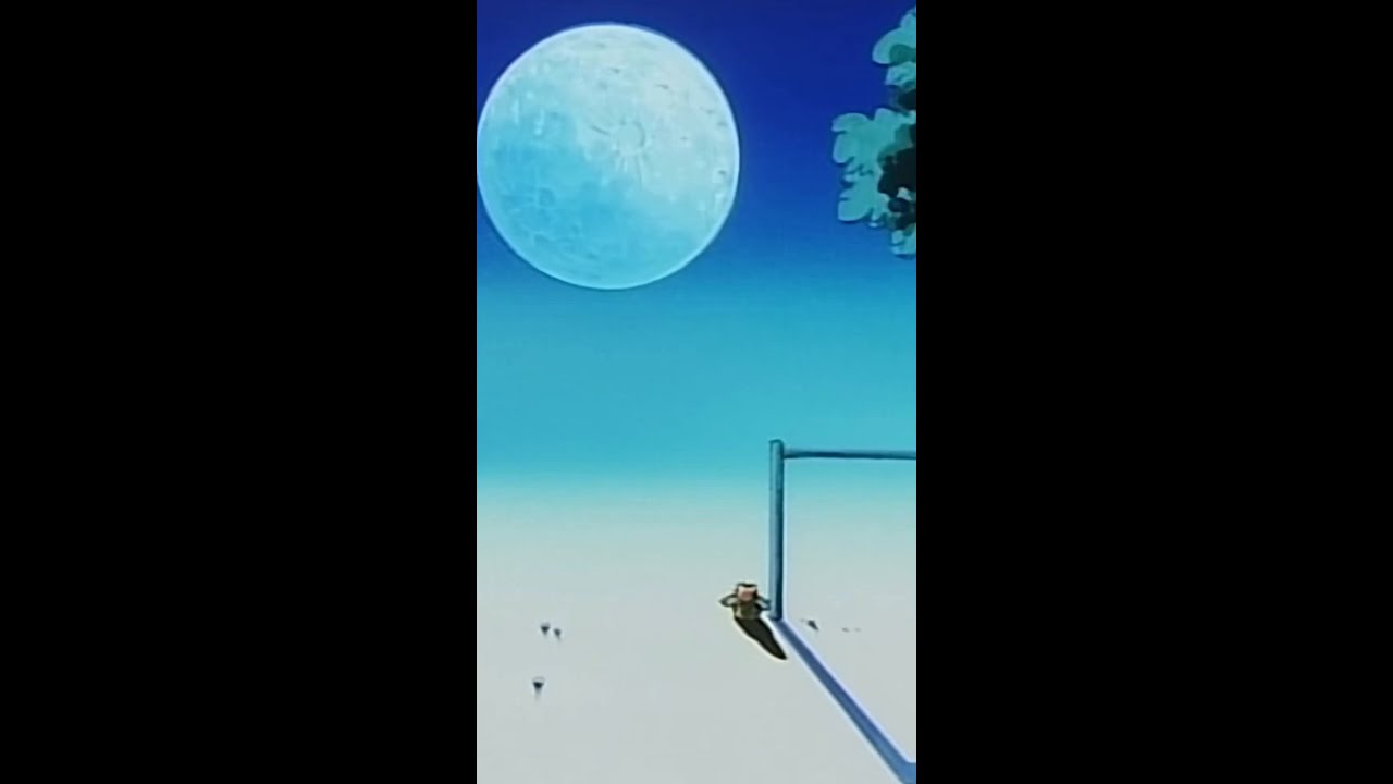 Miaouss n'a vraiment pas eu la vie facile 🥺