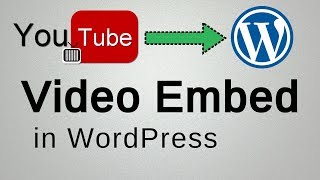 How to Embed a YouTube Video in WordPress Website / Add YouTube Video To WordPress