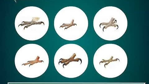 Incredible Science Class 3-Chapter 7-Page Number 70