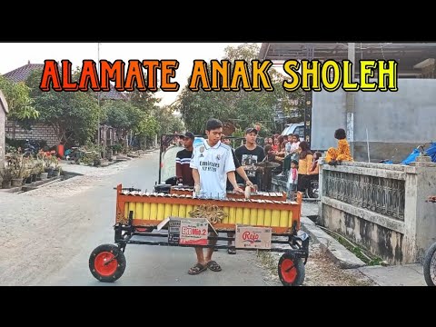 Alamate Anak Sholeh Versi TONGKLEK Brondong