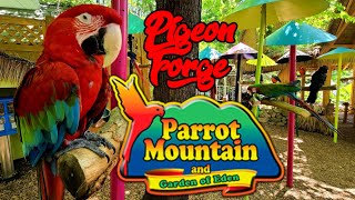 Parrot Mountain and Garden of Eden Pigeon Forge Tn