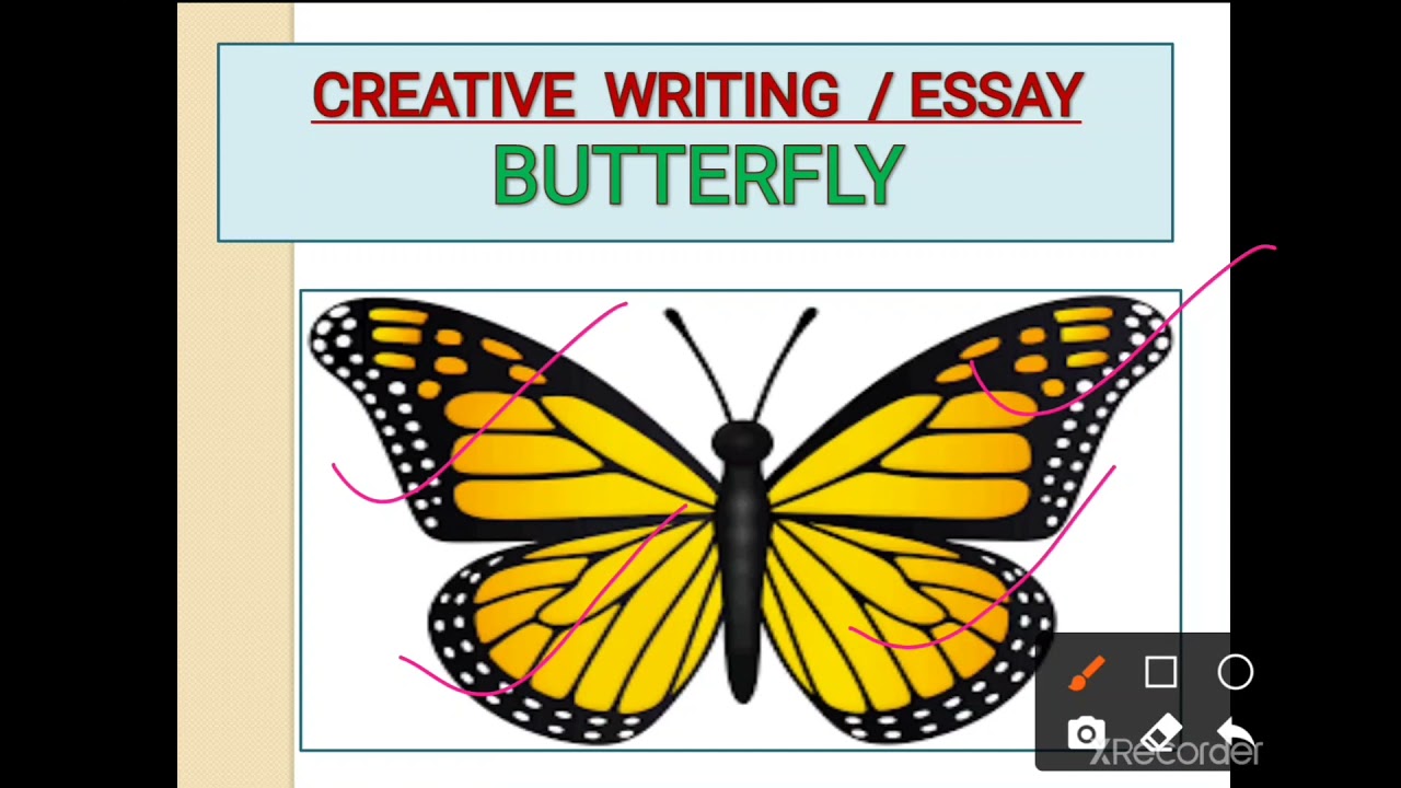 i represent myself as a butterfly essay