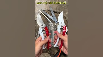 Bộ 8 Món Dụng Cụ Làm Vườn Cây Cảnh Bonsai (Kéo SK5 Kéo Cắt Cành Cưa Gập Cầm Tay và Cưa Lách New)