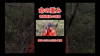 命の重み 害獣駆除の現実 現地で感じた苦悩と葛藤 #宮迫博之 #ジビエ #shorts